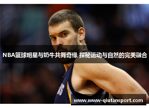 NBA篮球明星与奶牛共舞奇缘 探秘运动与自然的完美融合