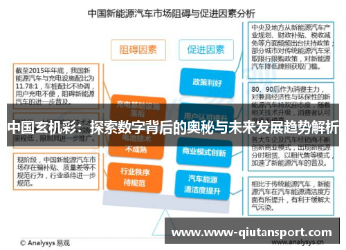 中国玄机彩：探索数字背后的奥秘与未来发展趋势解析