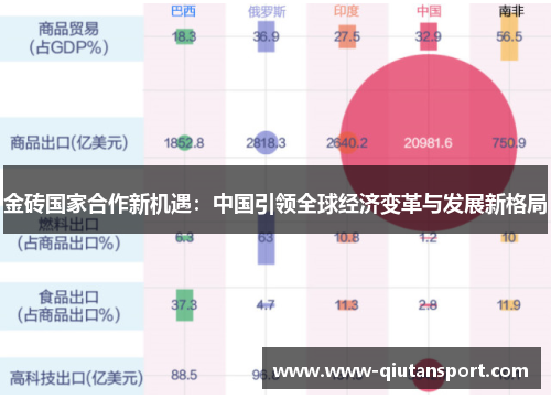 金砖国家合作新机遇：中国引领全球经济变革与发展新格局